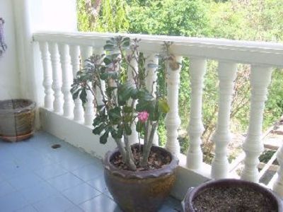 pic Condo in Jomtien