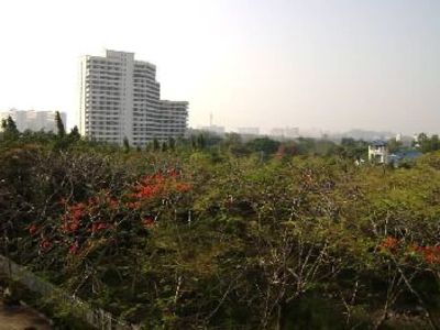pic Studio in Jomtien
