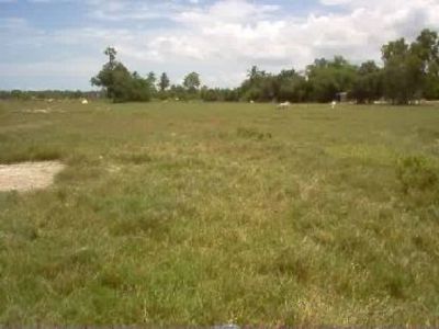 pic 118 rai (188,800 SQM) of land