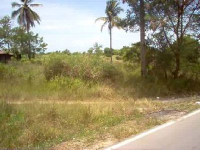 pic 98 rai (156,800 SQM) of land 