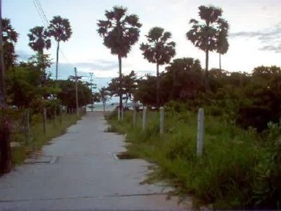 pic 13 Rai of land for sale