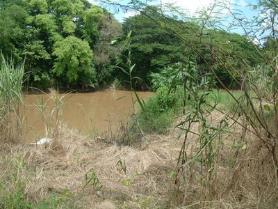 pic In a peaceful setting near the Mae Ping 