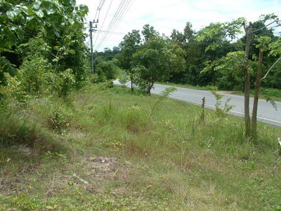 pic On the Maerim-Somoeng Road (Route 1096)