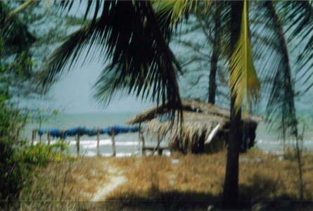pic Beachfront property in Surathanee