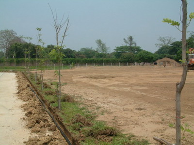 pic Quiet and attractive land plots