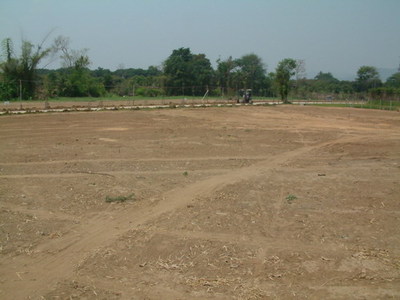 pic Quiet and attractive land plots