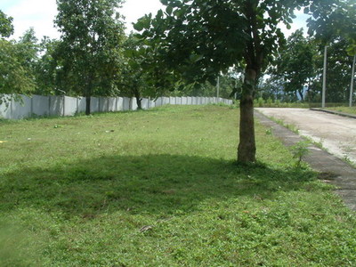 pic Developed land on a hill in Mae Rim 