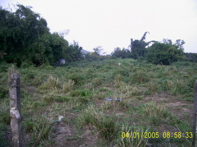 pic Land located in Mae Chan District