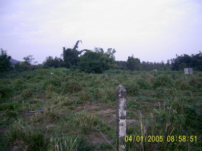 pic Land located in Mae Chan District