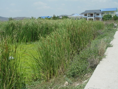 pic Hot! Land for Sale Hua-Hin 12,664 Sq.m 
