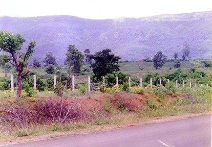 pic Land at Wangsapung