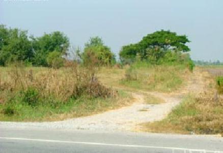 pic Land for sale at Nakornpathom