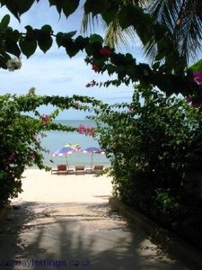 pic Idyllic beach villa resort (villa)