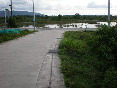 pic Flat land with lotus lake 