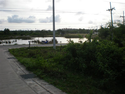 pic Flat land with lotus lake 