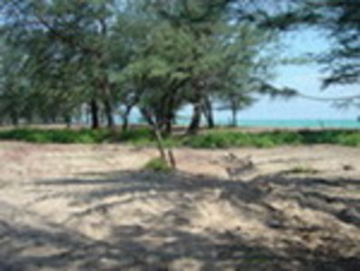 pic Absolute beachfront land 