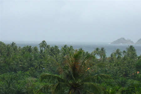 pic Gently sloping hillside land