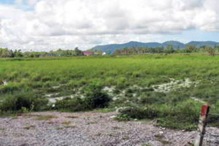 pic Land at Cherngtalay, Phuket