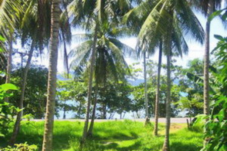 pic Land at Khao Khad, Phuket
