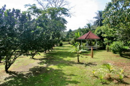 pic Land in Phang Nga