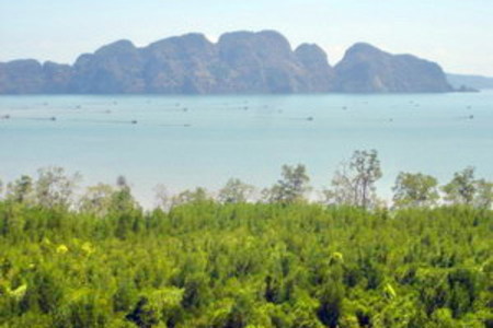 pic Land at Klong Kien, Phang-nga