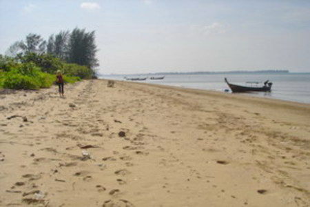 pic Land at Klong Gum, Krabi