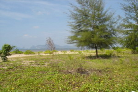 pic Land at Klong Gum, Krabi