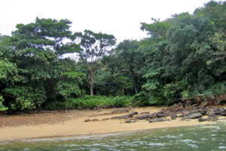 pic Beach front and Sloping land