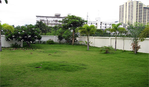 pic Palm Garden Village - Sriratcha(480 Sqm)