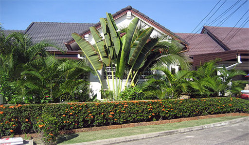 pic Soi Khopai (280 Sq.m) Single storey