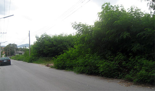 pic Pratumnak Soi 3 (1,500 Sq.m) 6 plots