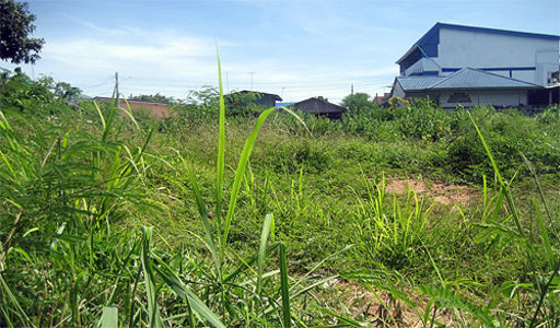 pic Naklua (1 Rai + 96 TW - 1,984 Sq.m)
