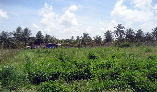 pic Mabprachan (2 Rai - 3,200 Sq.m) Split