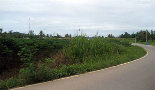 pic Bang Saray (5 Rai / 8,288 Sq.m)