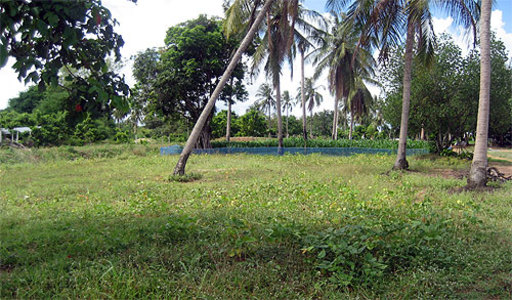 pic Huay Yai - Soi Wat Thungkha (800 Sq.m)