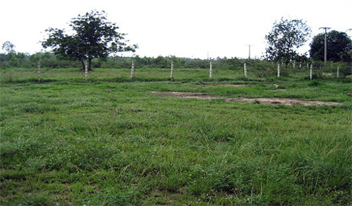 pic Mabprachan Lake (6 Rai + - 10,300 Sq.m)