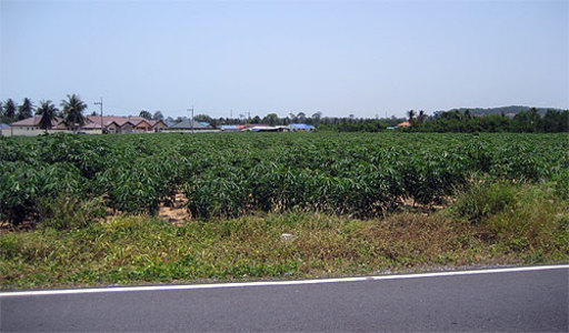 pic Bang Saray (20 Rai -32,000 Sq.m)