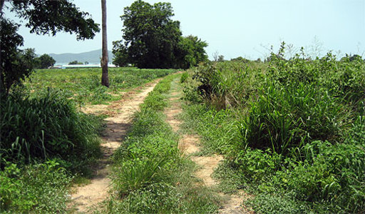 pic Bang Saray (7 Rai -11,200 Sq.m)