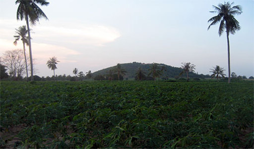 pic Huay Yai (1 Rai + 800 Sq.m 2,400 Sq.m)