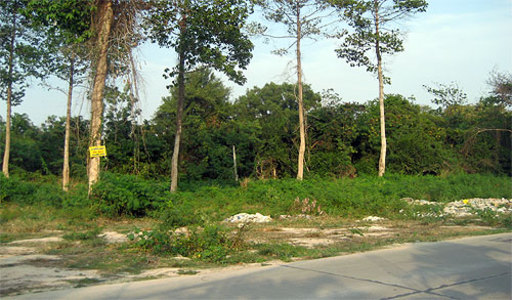 pic  Soi Chaiyapuk (1,456 Sq.m) Road access.