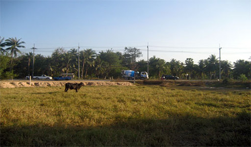 pic Huay Yai (1 Rai 218 Sq.wah - 2,472 Sq.m)