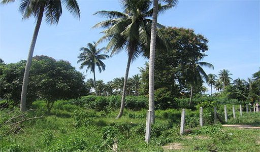 pic Huay Yai (2,400 Sq.m)