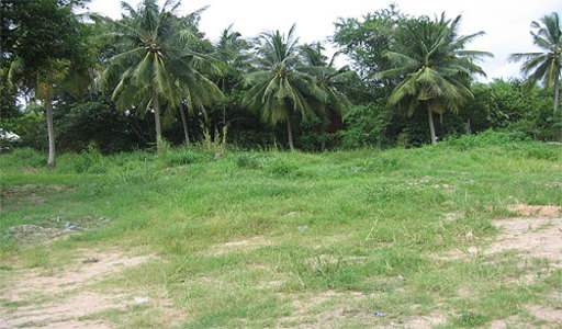 pic Bang Saray ( 1,200 Sq.m)