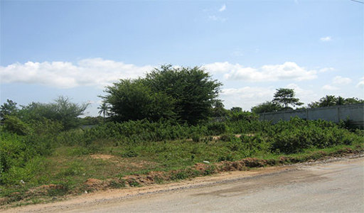 pic  Huay Yai - (2,000 Sq.m) 