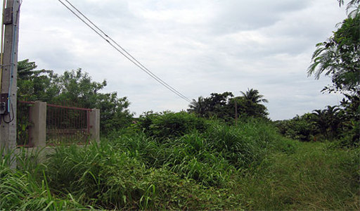 pic  Ban Budsaba - Wat Yan- (1,600 Sq.m)