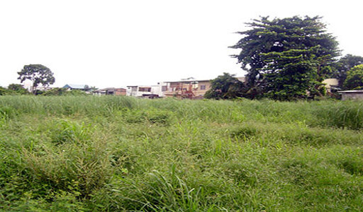 pic Naklua (4,900 Sq.m)