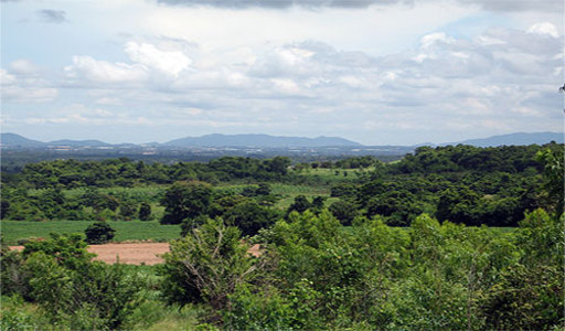 pic Khao Mai Keaw (110 Rai)