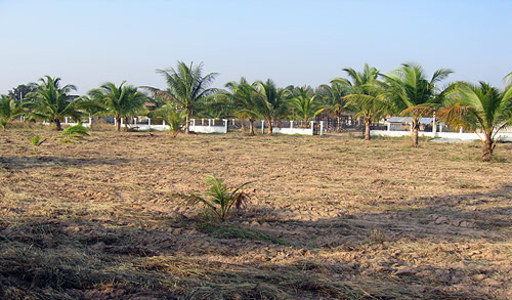 pic Coconut Hill (Chak Nork Lake)