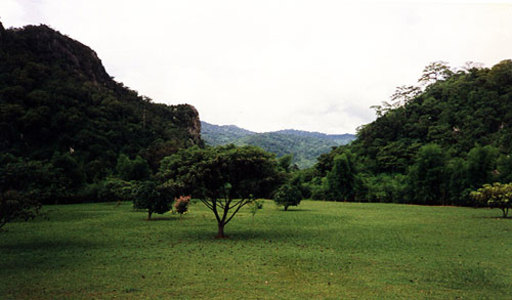 pic Khaoyai (9 Rai) Near National Park