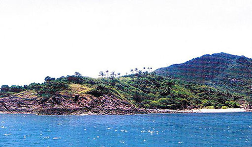 pic Pangan Island(39+9 Rai)Prime Real Estate